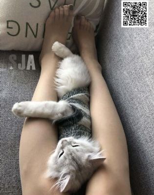 日老太太毛茸茸b内射_蓝光免费观看